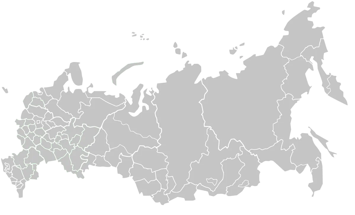 Проверить адрес подключения Сибирского Медведя в г.Кемерово